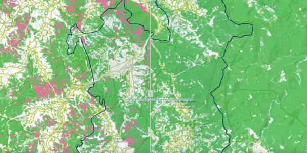 Modern solution to help hromadas monitor deforestation