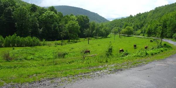 Road to Rodnykova Guta