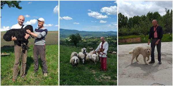 “Sheep breeding in the mountains must be revived. Only then will the Carpathian Mountains be self-sufficient and develop,” Vasyl Stefurak, farmer, chairman of Shepherds' Association