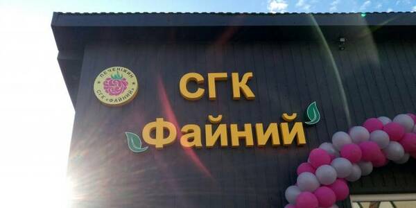 Result of participation in “Million-Hryvnia Hromada” project: Pechenizhynska AH opened raspberry cooperative