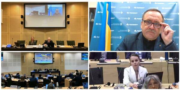 MinRegion urged the Council of Europe to resume its project activities in Ukraine
