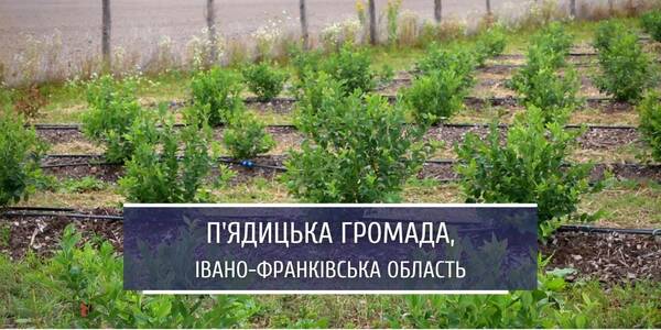 П'ядицька громада: село розвивається, а громада має прибуток і перспективу