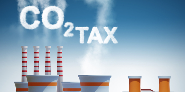 Закон №3050 і встановлення індивідуальних податкових пільг: експертка роз’яснила зміни для ОМС/ВА