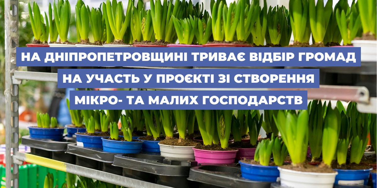 На Дніпропетровщині триває відбір громад на участь у проєкті зі створення мікро- та малих господарств