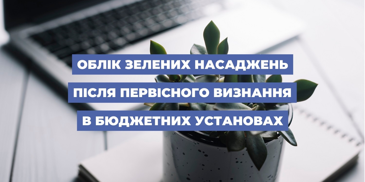 Облік зелених насаджень після первісного визнання в бюджетних установах