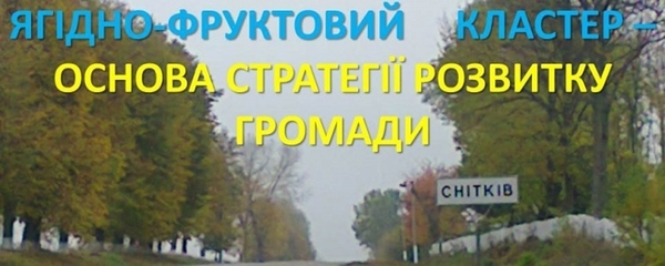 Як відродити українське село – історія успіху Снітківської громади