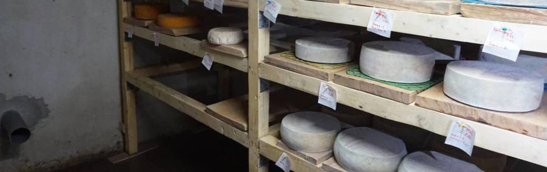 Hromada’s cheese. Story on how “Perechynska Manufaktura” cheese dairy made image of Perechynska AH