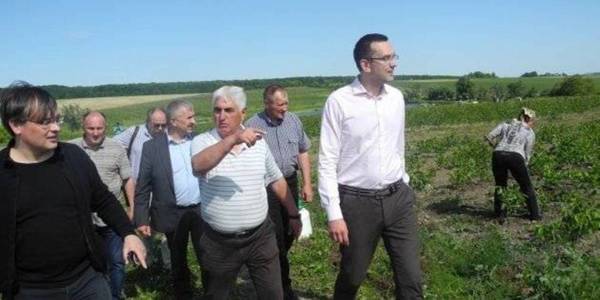 Cheese and nut plantation: production revives in Bukovyna AHs