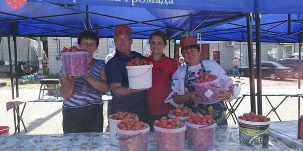 Strawberry feast in Lymanska AH