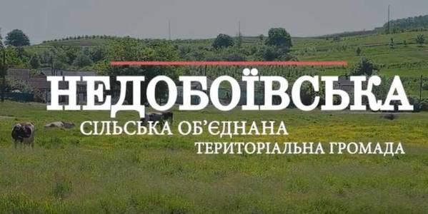 «Агенти громад». Недобоївська ОТГ

