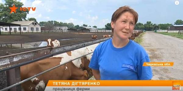 Milkmaid’s salary of UAH 20 thousand and smooth roads: life of hromada in Cherkasy Oblast 