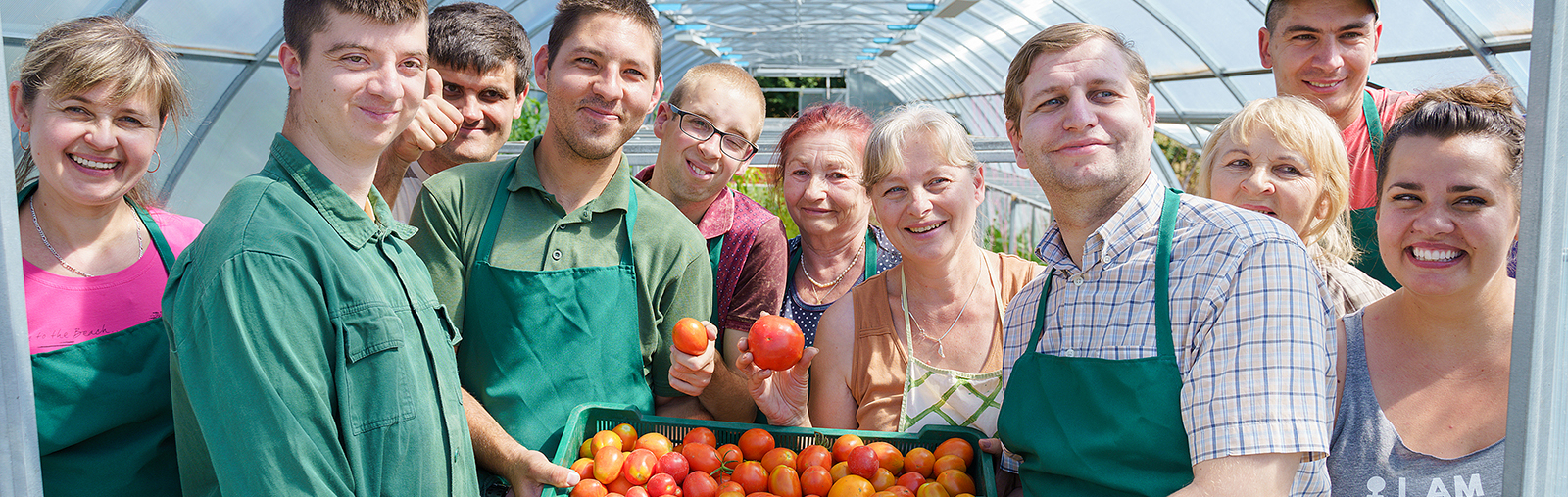 Greenhouse Farms in the Vinnytsia Region: Young People with Disabilities Grow Flowers, Greens, Spices, Vegetables, and Seedlings