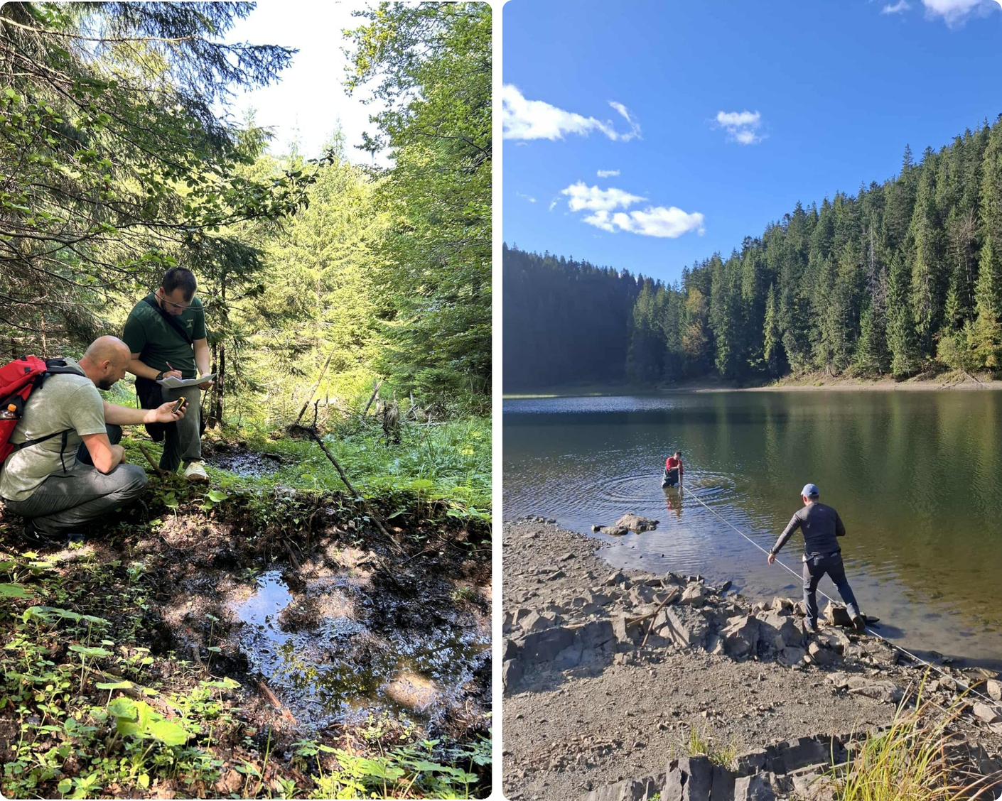 Проєкт “WeVaRe