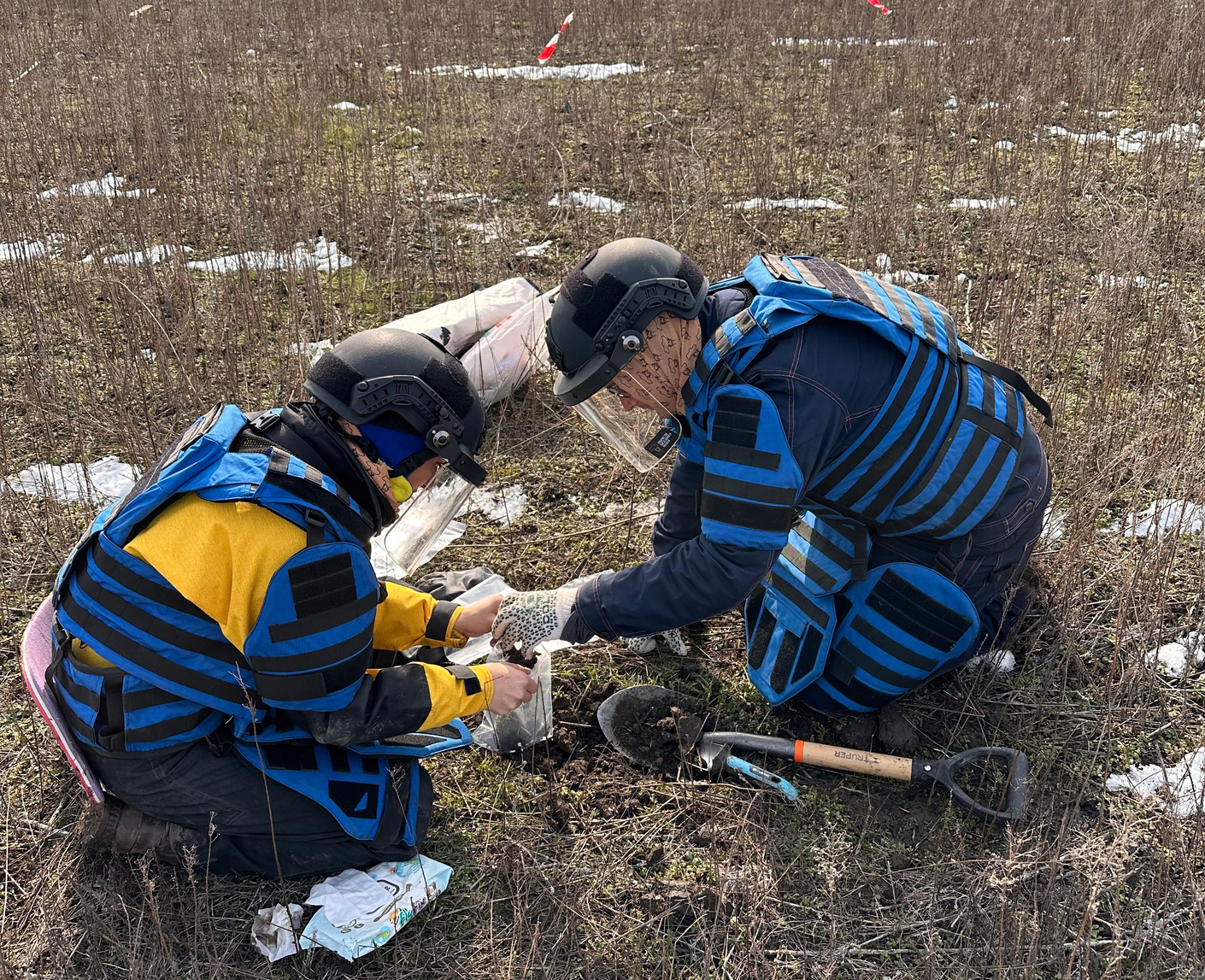 У селі Шевченковому Миколаївської області