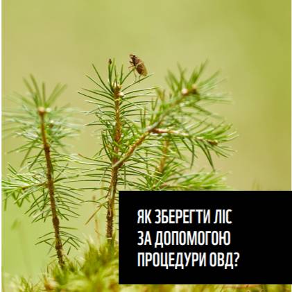 Як зберегти ліс за допомогою процедури ОВД?