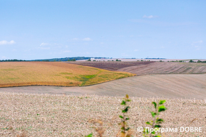 Околиці села Сапогів, Борщівська громада