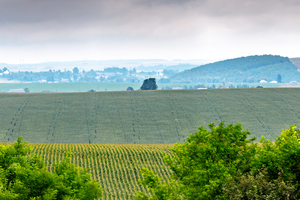 Thumb %d0%92%d0%b8%d0%b4 %d1%96%d0%b7 %d0%9a%d0%be%d0%b7%d0%b0%d1%86%d1%8c%d0%ba%d0%be%d1%97 %d0%bc%d0%be%d0%b3%d0%b8%d0%bb%d0%b8 %d0%bf%d0%be%d0%b1%d0%bb%d0%b8%d0%b7%d1%83 %d0%bc%d1%96%d1%81%d1%82%d0%b0 %d0%97%d0%b1%d0%be%d1%80%d1%96%d0%b2  %d0%97%d0%b1%d0%be%d1%80%d1%96%d0%b2%d1%81%d1%8c%d0%ba%d0%b0 %d0%b3%d1%80%d0%be%d0%bc%d0%b0%d0%b4%d0%b0  2 