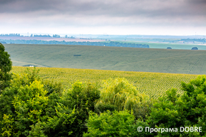 Thumb %d0%92%d0%b8%d0%b4 %d1%96%d0%b7 %d0%9a%d0%be%d0%b7%d0%b0%d1%86%d1%8c%d0%ba%d0%be%d1%97 %d0%bc%d0%be%d0%b3%d0%b8%d0%bb%d0%b8 %d0%bf%d0%be%d0%b1%d0%bb%d0%b8%d0%b7%d1%83 %d0%bc%d1%96%d1%81%d1%82%d0%b0 %d0%97%d0%b1%d0%be%d1%80%d1%96%d0%b2  %d0%97%d0%b1%d0%be%d1%80%d1%96%d0%b2%d1%81%d1%8c%d0%ba%d0%b0 %d0%b3%d1%80%d0%be%d0%bc%d0%b0%d0%b4%d0%b0  11 