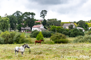 Thumb %d0%9a%d0%be%d0%bd%d1%82%d0%b0%d0%ba%d1%82%d0%bd%d0%b8%d0%b9 %d0%b7%d0%be%d0%be%d0%bf%d0%b0%d1%80%d0%ba %d0%bd%d0%b0 %d0%bf%d0%be%d0%b4%d0%b2%d1%96%d1%80 %d1%97 %d0%92%d0%b0%d1%81%d0%b8%d0%bb%d1%8f %d0%9e%d0%bb%d1%96%d0%b9%d0%bd%d0%b8%d0%ba%d0%b0  %d1%81%d0%b5%d0%bb%d0%be %d0%9a%d0%b0%d0%b1%d0%b0%d1%80%d1%96%d0%b2%d0%ba%d0%b0  %d0%97%d0%b1%d0%be%d1%80%d1%96%d0%b2%d1%81%d1%8c%d0%ba%d0%b0 %d0%b3%d1%80%d0%be%d0%bc%d0%b0%d0%b4%d0%b8  32 