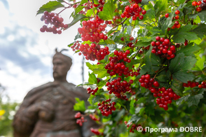 Thumb %d0%9f%d0%be%d0%b4%d0%b2%d1%96%d1%80 %d1%8f %d0%9c%d1%83%d0%b7%d0%b5%d1%8e %d0%97%d0%b1%d0%be%d1%80%d1%96%d0%b2%d1%81%d1%8c%d0%ba%d0%be%d1%97 %d0%b1%d0%b8%d1%82%d0%b2%d0%b8  %d0%bc%d1%96%d1%81%d1%82%d0%be %d0%97%d0%b1%d0%be%d1%80%d1%96%d0%b2  %d0%97%d0%b1%d0%be%d1%80%d1%96%d0%b2%d1%81%d1%8c%d0%ba%d0%b0 %d0%b3%d1%80%d0%be%d0%bc%d0%b0%d0%b4%d0%b0  10 