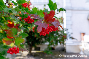 Thumb %d0%9f%d0%be%d0%b4%d0%b2%d1%96%d1%80 %d1%8f %d0%9c%d1%83%d0%b7%d0%b5%d1%8e %d0%97%d0%b1%d0%be%d1%80%d1%96%d0%b2%d1%81%d1%8c%d0%ba%d0%be%d1%97 %d0%b1%d0%b8%d1%82%d0%b2%d0%b8  %d0%bc%d1%96%d1%81%d1%82%d0%be %d0%97%d0%b1%d0%be%d1%80%d1%96%d0%b2  %d0%97%d0%b1%d0%be%d1%80%d1%96%d0%b2%d1%81%d1%8c%d0%ba%d0%b0 %d0%b3%d1%80%d0%be%d0%bc%d0%b0%d0%b4%d0%b0  13 