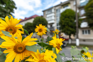 Середмістя Зборова, Зборівська громада