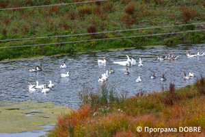 Урочище Білий Берег, місто Зборів, Зборівська громада