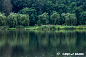 Відпочинкова зона КП «Нептун», Тлумацьке міське озеро, Тлумацька громада