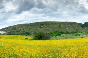 Кам'яний тризуб, село Остриня, Тлумацька громада