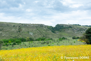 Кам'яний тризуб, село Остриня, Тлумацька громада