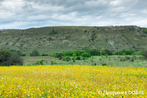 Кам'яний тризуб, село Остриня, Тлумацька громада