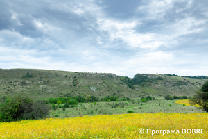 Кам'яний тризуб, село Остриня, Тлумацька громада