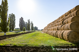 Thumb %d0%a2%d0%9e%d0%92 %d0%a1%d1%96%d0%bb%d1%8c%d1%81%d1%8c%d0%ba%d0%be%d0%b3%d0%be%d1%81%d0%bf%d0%be%d0%b4%d0%b0%d1%80%d1%81%d1%8c%d0%ba%d0%b5 %d0%bf%d1%96%d0%b4%d0%bf%d1%80%d0%b8%d1%94%d0%bc%d1%81%d1%82%d0%b2%d0%be  %d0%94%d1%96%d0%bb%d0%be %d0%a1%d0%9a %d0%90%d0%b3%d1%80%d0%be   %d1%81%d0%b5%d0%bb%d0%be %d0%a0%d1%96%d0%b2%d0%bd%d0%be%d0%bf%d1%96%d0%bb%d0%bb%d1%8f  %d0%93%d1%83%d0%bb%d1%8f%d0%b9%d0%bf%d1%96%d0%bb%d1%8c%d1%81%d0%ba%d0%b0 %d0%a2%d0%93  2 