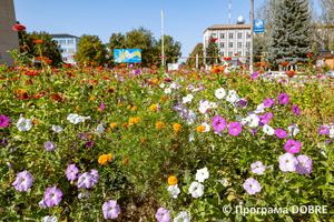 Вулицями міста Гуляйполе