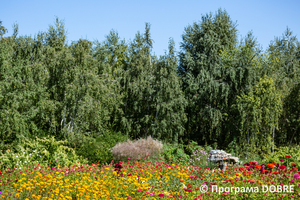 Дендропарк в селі Менчикури