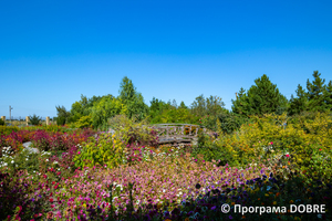 Дендропарк в селі Менчикури