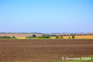 ТОВ «Агроком 1990», село Костянтинівка