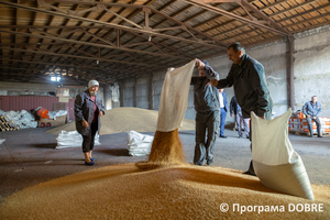ТОВ «Агроком 1990», село Костянтинівка
