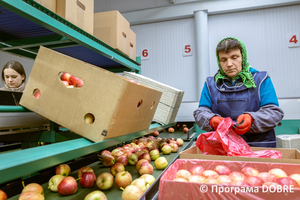 ТОВ «ТВК «Агромаркет»