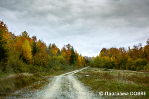 Пам'ятки природи, село Багна