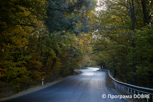 Місцеві дороги, Вижницька територіальна громада