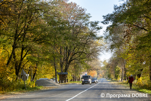 Місцеві дороги, Вижницька територіальна громада