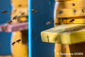 Thumb %d0%90%d0%bf%d1%96%d1%82%d0%b5%d1%80%d0%b0%d0%bf%d0%b5%d0%b2%d1%82%d0%b8%d1%87%d0%bd%d0%b8%d0%b9 %d0%be%d0%b7%d0%b4%d0%be%d1%80%d0%be%d0%b2%d1%87%d0%b8%d0%b9 %d0%ba%d0%be%d0%bc%d0%bf%d0%bb%d0%b5%d0%ba%d1%81  %d0%9c%d0%b8%d0%b2%d1%96%d1%80%d0%b0   %d1%81%d0%b5%d0%bb%d0%be %d0%9c%d0%b8%d1%85%d0%b0%d0%b9%d0%bb%d1%96%d0%b2%d0%ba%d0%b0  %d0%93%d0%bb%d0%b8%d0%b1%d0%be%d1%86%d1%8c%d0%ba%d0%b0 %d0%b3%d1%80%d0%be%d0%bc%d0%b0%d0%b4%d0%b0  11 