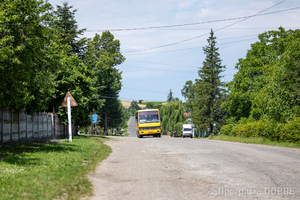 Село Велика Кам’янка, П’ядицька громада