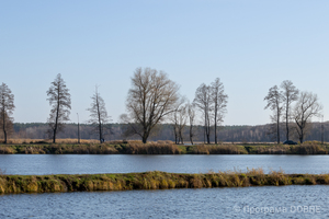 Thumb %d0%bf%d0%bb%d1%8f%d0%b6%d0%bd%d0%b0 %d0%b7%d0%be%d0%bd%d0%b0 %d0%bd%d0%b0 %d1%80%d1%96%d1%87%d1%86%d1%96 %d0%91%d1%80%d0%b5%d1%87%d0%b8%d1%86%d1%8f  %d0%be%d0%b1%d0%bb%d0%b0%d1%88%d1%82%d0%be%d0%b2%d0%b0%d0%bd%d0%b0 %d0%b7%d0%b0 %d0%bf%d1%96%d0%b4%d1%82%d1%80%d0%b8%d0%bc%d0%ba%d0%b8 %d0%9f%d1%80%d0%be%d0%b3%d1%80%d0%b0%d0%bc%d0%b8 dobre   22 