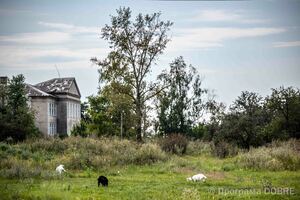 Thumb %d0%91%d0%b0%d0%b3%d0%b0%d1%82%d0%be%d0%ba%d0%b2%d0%b0%d1%80%d1%82%d0%b8%d1%80%d0%bd%d0%b8%d0%b9 %d0%b1%d1%83%d0%b4%d0%b8%d0%bd%d0%be%d0%ba  %d0%b7%d1%80%d1%83%d0%b9%d0%bd%d0%be%d0%b2%d0%b0%d0%bd%d0%b8%d0%b9 %d0%a0%d0%a4  %d1%81%d0%b5%d0%bb%d0%be %d0%a8%d0%b5%d0%b2%d0%b5%d0%bb%d1%96%d0%b2%d0%ba%d0%b0  %d0%91%d0%b0%d0%bb%d0%b0%d0%ba%d0%bb%d1%96%d0%b9%d1%81%d1%8c%d0%ba%d0%b0 %d0%b3%d1%80%d0%be%d0%bc%d0%b0%d0%b4%d0%b0  28 