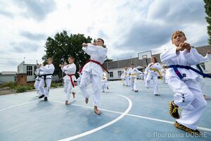 Секція таеквондо, Компаніївська громада