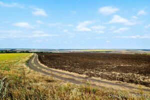 Село Голубієвичі, Компаніївська громада