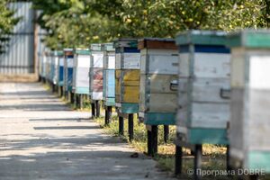 Фермерське господарство Михайла Качинського, Компаніївська громада