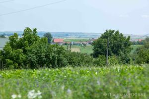 Село Велика Кам’янка, П’ядицька громада